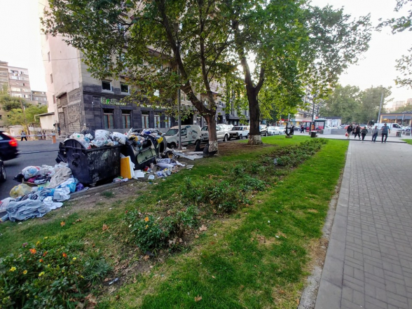 Александр Лапшин понял, почему Ереван утопает в мусоре