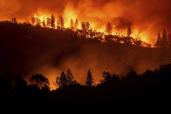 Կալիֆոռնիայի նահանգում արտակարգ դրություն Է հայտարարված անտառային հրդեհների պատճառով