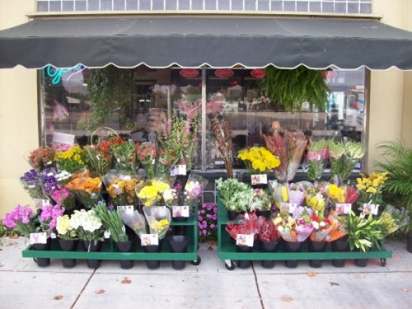 Պարետը թույլատրել է ծաղիկների, բույսերի, կենդանական կերի առևտուրը մասնագիտացված խանութներում
