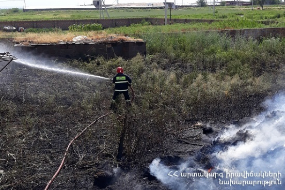 Նորամարգ գյուղում այրվել են մոտ 200 հակ անասնակեր և 1000 քմ խոտածածկույթ (տեսանյութ)