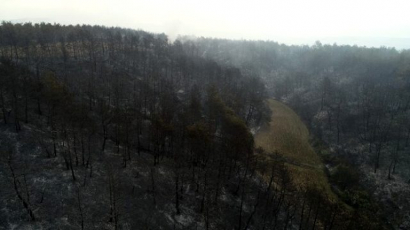 Թուրքիայում մասշտաբային անտառային հրդեհի հետևանքով արդեն 450հա տարածք է այրվել