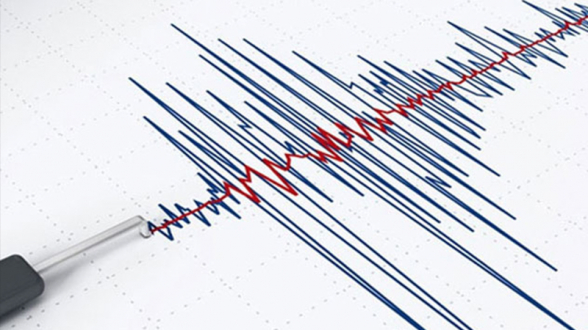 В центральной части Грузии произошло землетрясение магнитудой 4,5