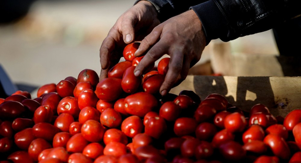 Россия предупредила Азербайджан о возможном ограничении импорта фруктов и овощей