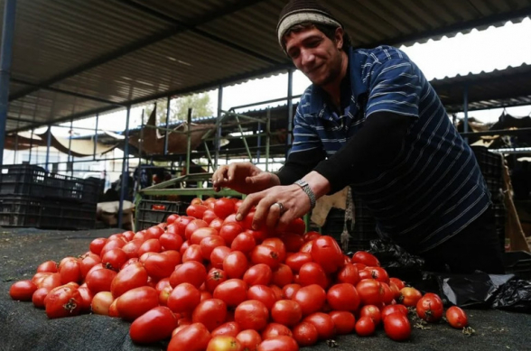 Россия запретила ввоз зараженных фруктов и овощей из Азербайджана