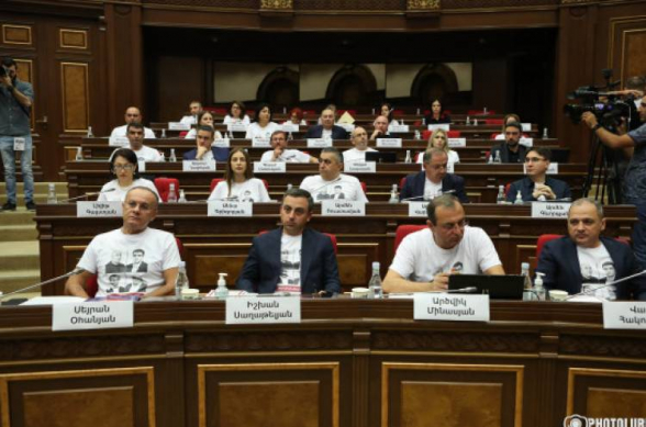 Фракции «Армения» и «Честь имею» обратятся в КС с требованием признать недействительными итоги выборов спикера парламента