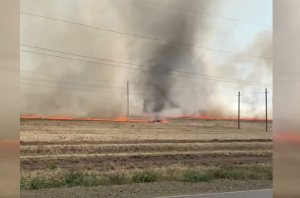 ՌԴ-ում տեսագրել են՝ ինչպես է դաշտում հրե պտտահողմ ձևավորվում