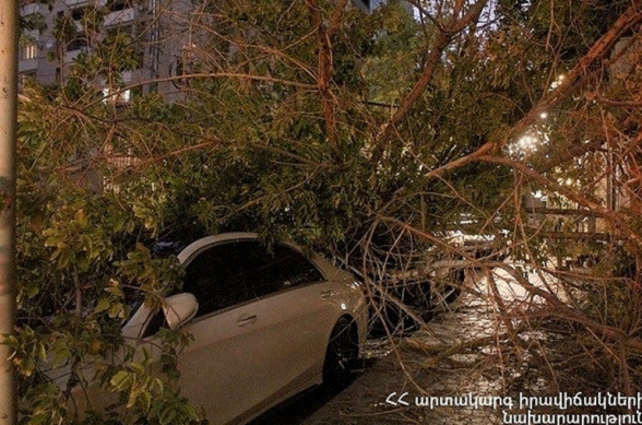 Երևանի Փարպեցու փողոցում ծառը կոտրվել և ընկել է՝ վնասելով բակում կայանած երկու ավտոմեքենա