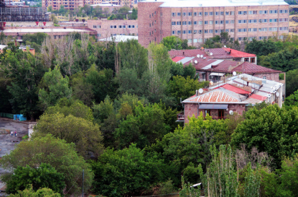 «Ломают и уничтожают деревья»: жители «Физгородка» в Ереване бьют тревогу (видео)