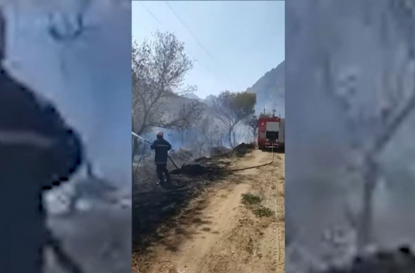 Иранские пожарные помогли борьбе с лесными пожарами в армянском Мегри (видео)