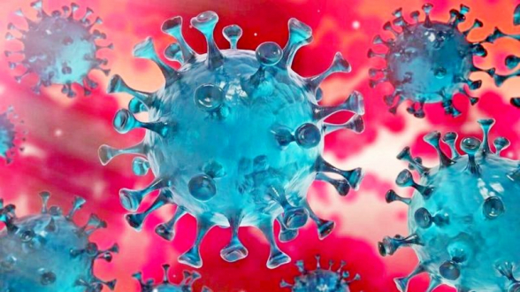В Грузии выявлено 2479 новых случаев коронавируса