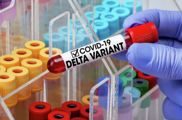 За сутки в Армении выявлено 1835 новых случаев коронавируса, скончались еще 56 человек