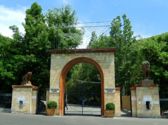 Փորձել են թունավորել կենդանաբանական այգու ուղտին և 2 կոալաներին