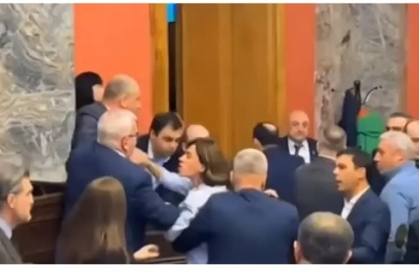 Депутаты парламента Грузии вновь устроили драку (видео)