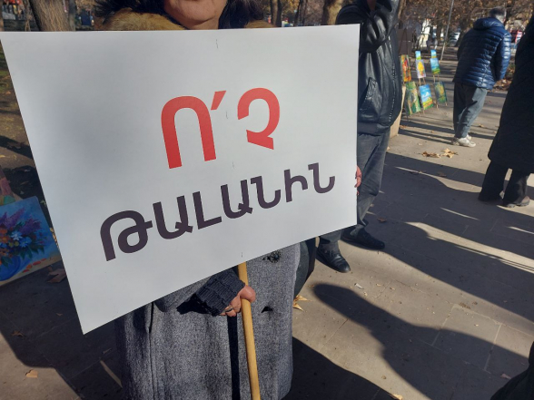 «Мать Армения» продолжает акции протеста и информирования под лозунгом «Нет разграблению» (видео)