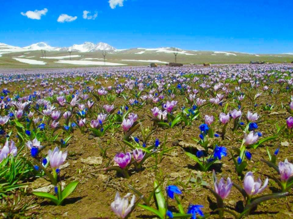 Օդի ջերմաստիճանը կբարձրանա 4-6 աստիճանով