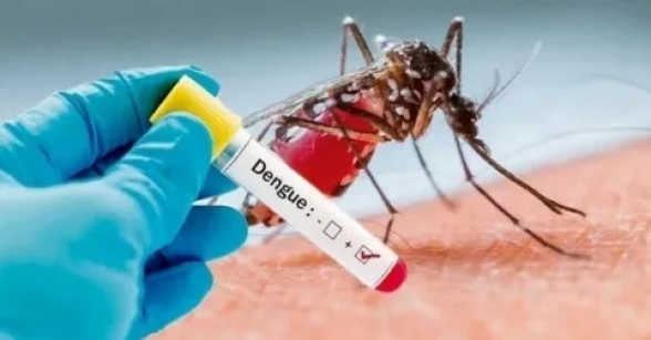 В ВОЗ заявили о высоком риске распространения лихорадки денге в Иране