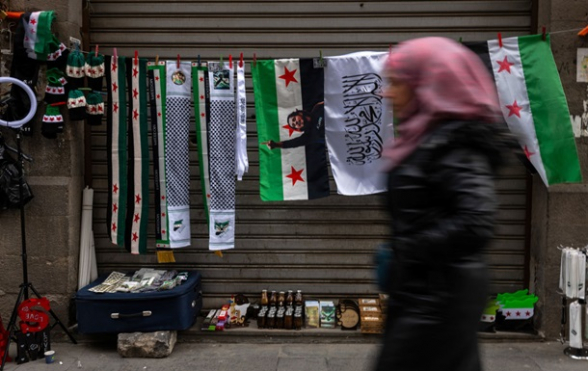 В Австрии призвали не допустить провала с Сирией как с Афганистаном