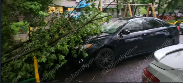 Երևանում ուժեղ քամու հետևանքով ծառի ճյուղը պոկվել և ընկել է կայանված «Toyota Camry»-ի վրա