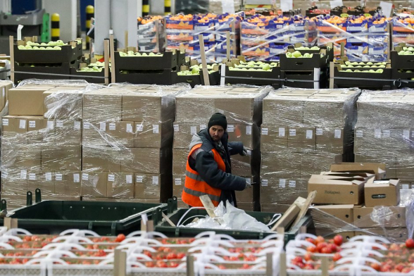 Стало известно, от экспорта каких товаров в РФ критически зависим Азербайджан