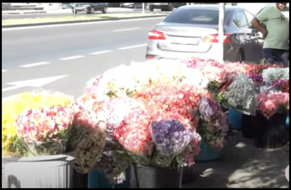 Ծաղկեգործները պատրաստվում են ծաղիկներով փակել Էջմիածին-Երևան մայրուղին (տեսանյութ)