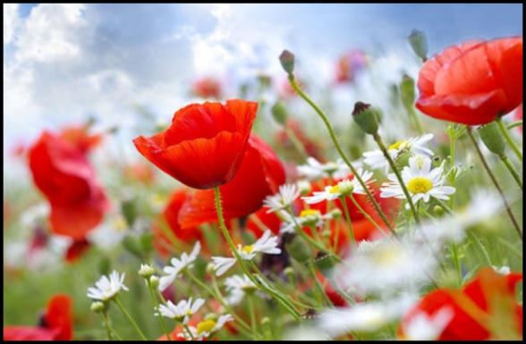 Օդի ջերմաստիճանն աստիճանաբար կբարձրանա 4-6 աստիճանով