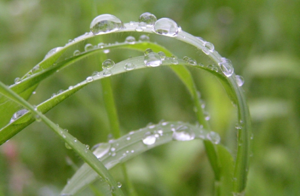 Օդի ջերմաստիճանը աստիճանաբար կնվազի 5-8 աստիճանով