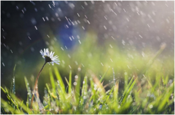 Սպասվում է կարճատև անձրև և ամպրոպ