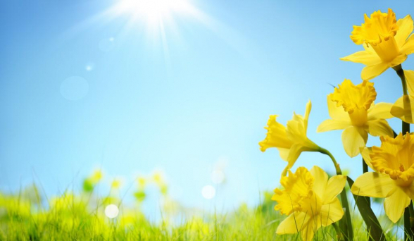 Եղանակը կտաքանա 3-5 աստիճանով, առանձին շրջաններում սպասվում է անձրև