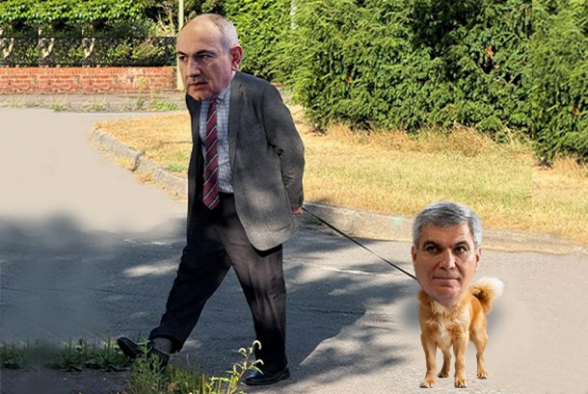 Նիկոլի քաղաքական շնիկը Վաղարշապատում