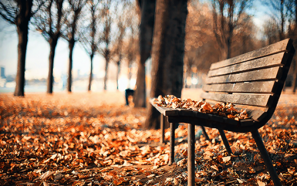 Սպասվում է առանց տեղումների եղանակ, որոշ շրջաններում օդի ջերմաստիճանը կբարձրանա