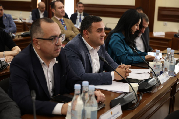 «Մայր Հայաստան»-ի ավագանու անդամներն առաջարկում են Դավթաշենի կենտրոնական այգին անվանակոչել Արցախ