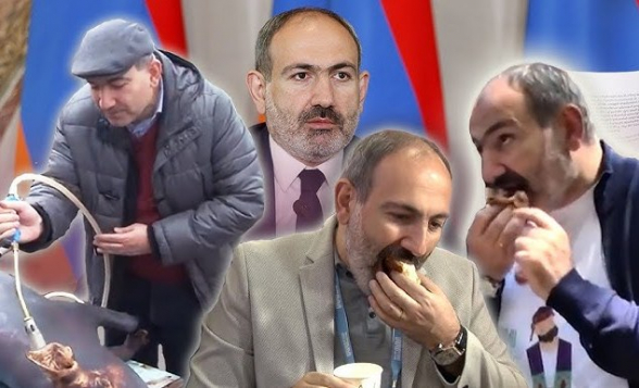 Едят, едят – до конца! (видео)