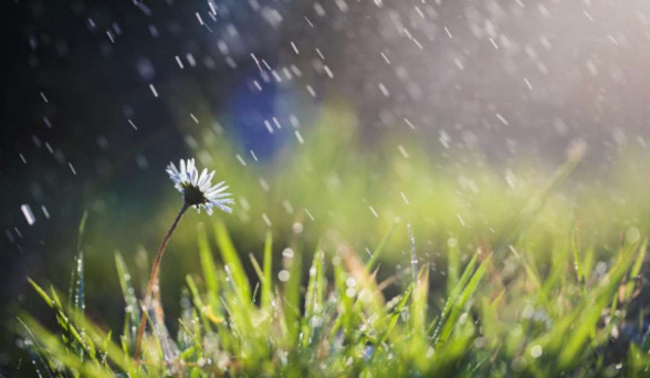 Ջերմաստիճանը 3-5 աստիճանով կտաքանա