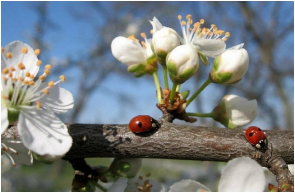Օդի ջերմաստիճանն աստիճանաբար կբարձրանա