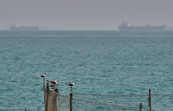 США продвигают новую международную коалицию для свободы судоходства в Ормузе